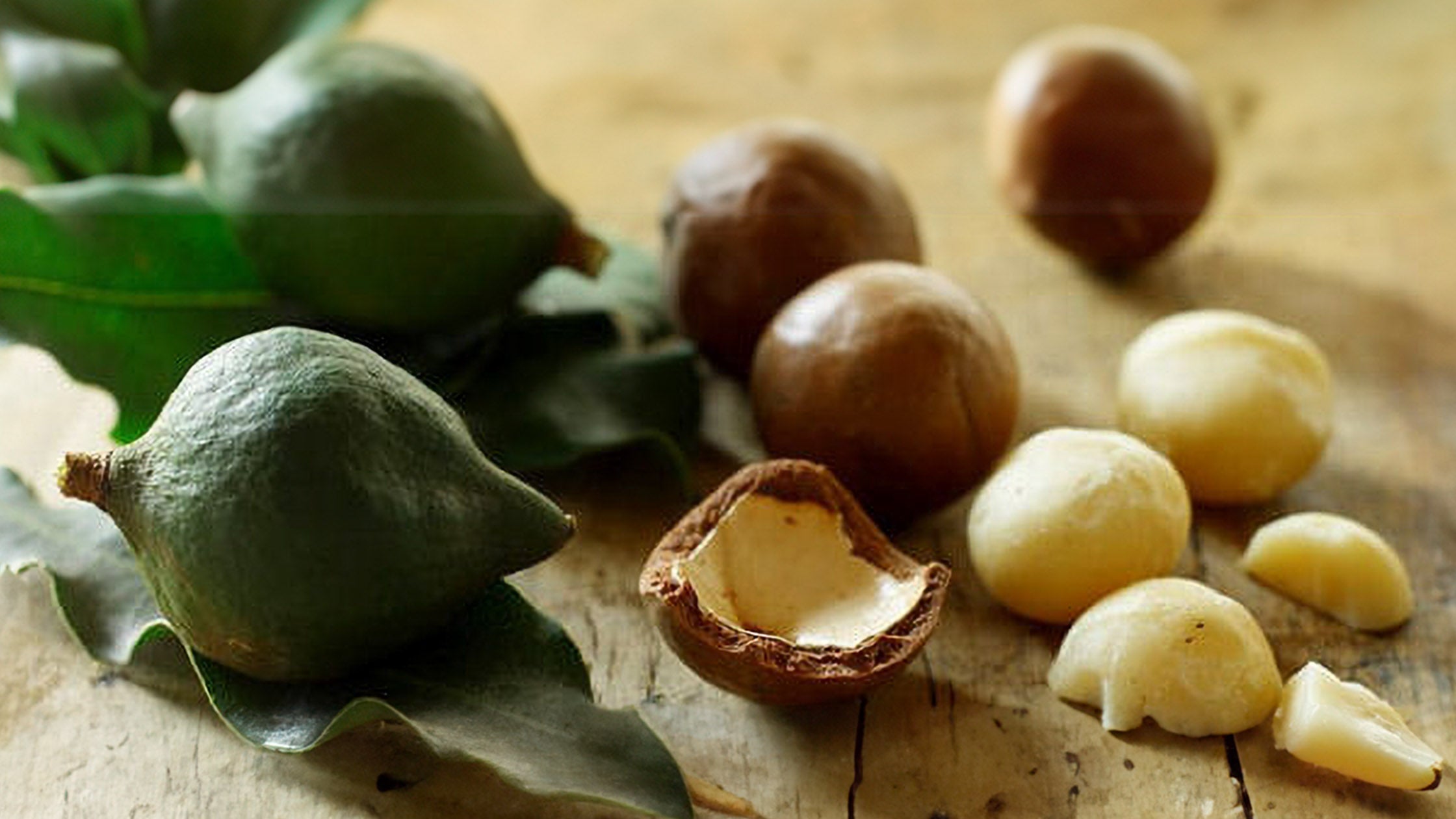 Macadamias – Australia’s Prized Possession