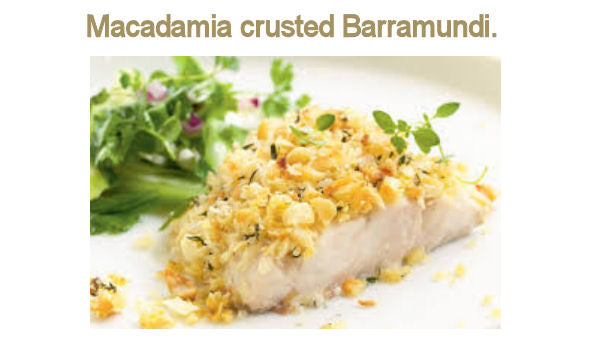 Macadamia crusted Barramundi