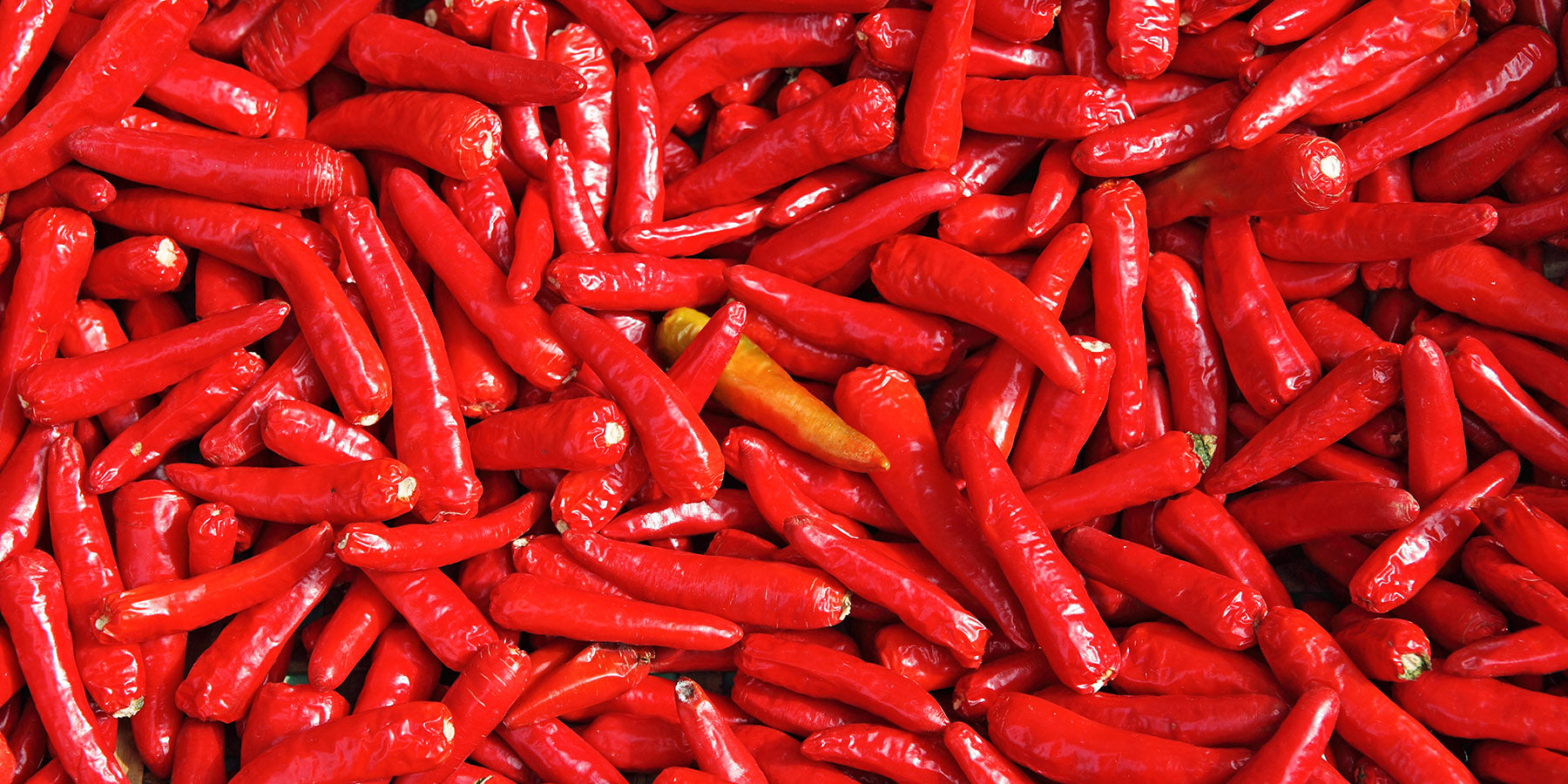 Hot & Spicy