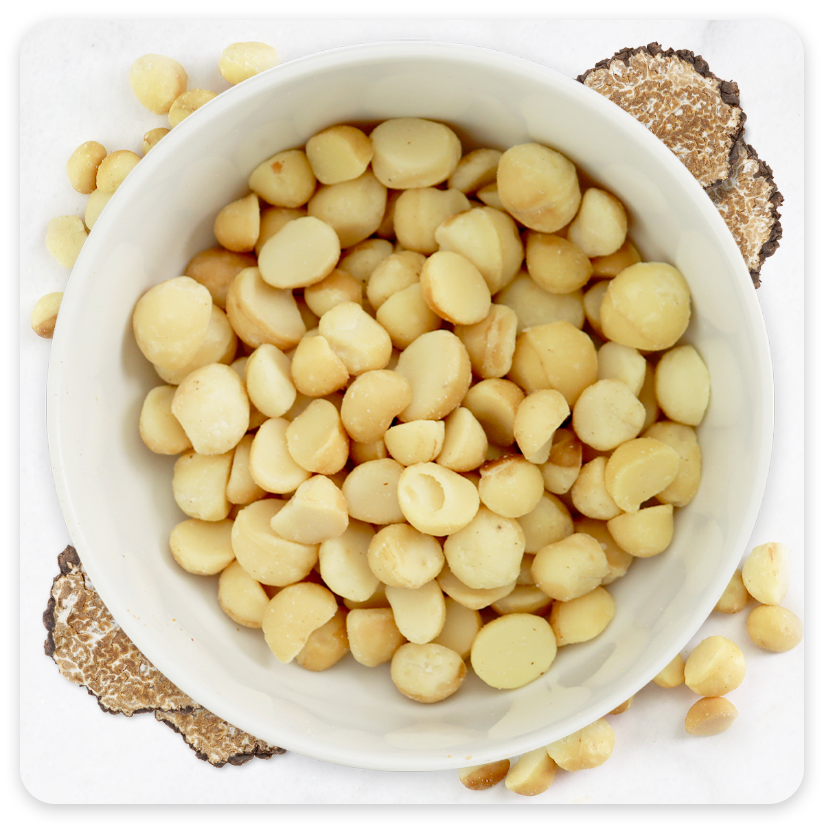 Macadamias Truffle